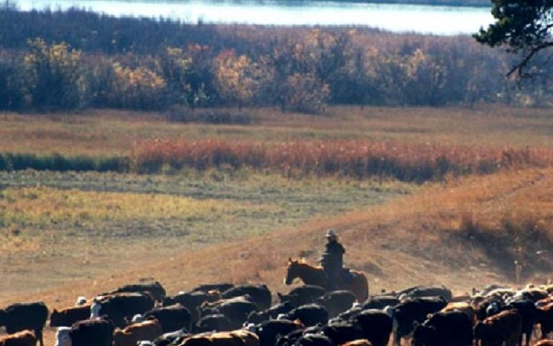 dyn001_original_800_500_pjpeg_2674716_2e29e8847017067f6072699e9df941ef[1] (Medium)